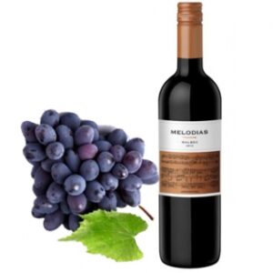 MALBEC MELODIAS 6x75 CL