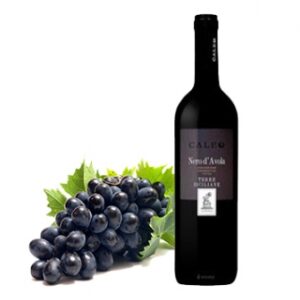 Cale Primitivo 6x75cl